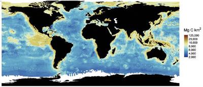 Deep sea nature-based solutions to climate change